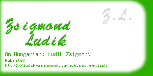 zsigmond ludik business card